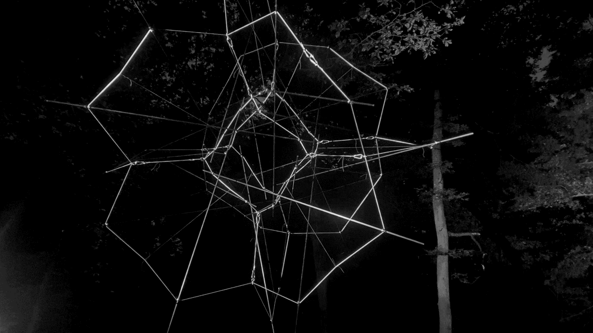 Ludovic_Regnault_Minimal Airframe_1, 2023, Carbon Fiber & Polypropylene